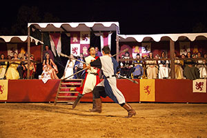 Festival Medieval de Alburquerque