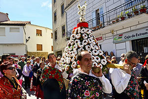 B_CEREZOS-EN-FLOR-FIESTA-DULCES-09