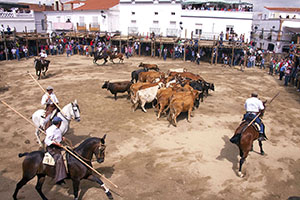 The Capeas of Segura de León