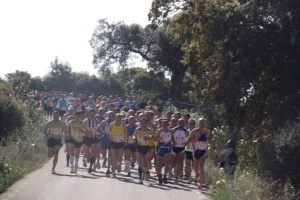 Alburquerque Half Marathon