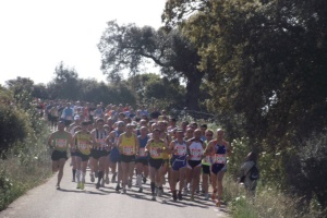 Media Maratón de Alburquerque