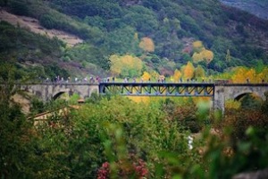 Ambroz forests walk
