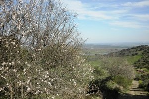Mirador del Cerro Canalizo