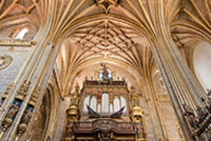 B_CATEDRAL_PLASENCIA_13