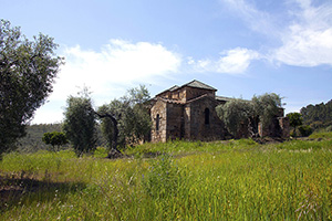 B_BASILICA-VISIGODA-SANTA-MARIA-TRAMPAL_11