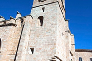 B_CONCATEDRAL-DE-CACERES_10