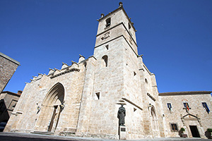 B_CONCATEDRAL-DE-CACERES_11