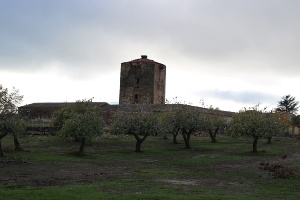 Castle of Almaraz