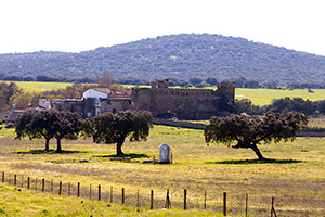 B_CASTILLO_DE_LOS_ARCOS_01