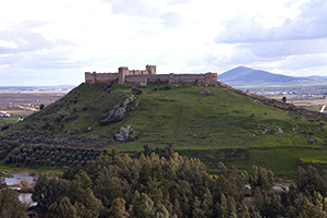 Castillo de Medellín