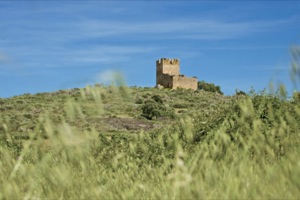 Castillo de Torrecilla de Lagartera