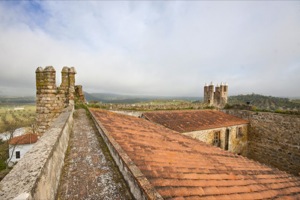 Castillo del Coso