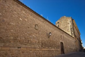 Palacio de San Carlos