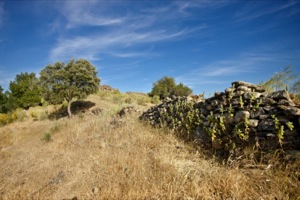 Yacimiento arqueológico de Albalat
