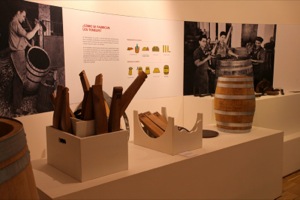 B_MUSEO_CIENCIAS_VINO_07