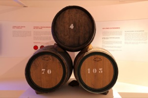 B_MUSEO_CIENCIAS_VINO_08