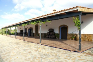 Ribera del Guadiana Wine Route