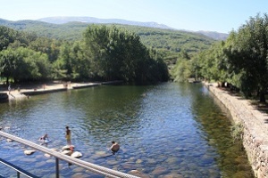 El Nogalón