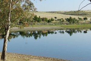 B_EMBALSE_ORELLANA_CALICANTO_07