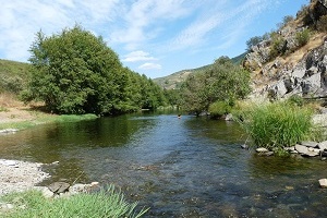 Río Los Angeles - El puente