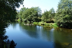 Los Angeles river - Rivera Oveja