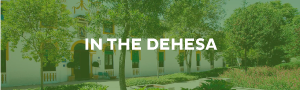 In the dehesa