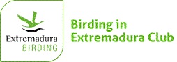 Birding in Extremadura